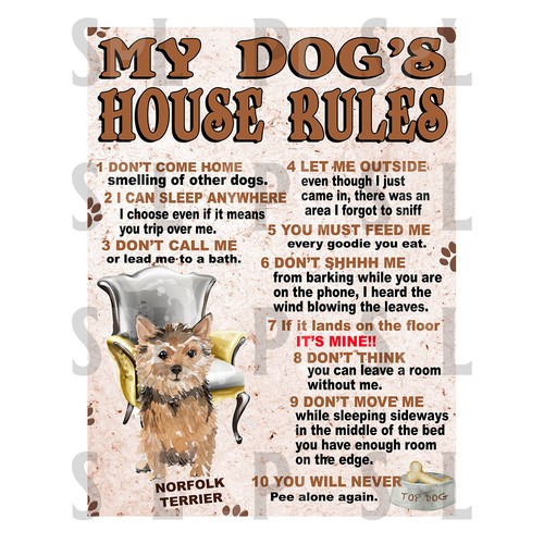 Dog house rules norfolk - my,