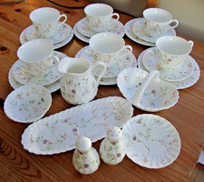 Vintage Wedgwood Campion 25