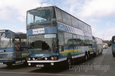 Coach Photo - Bakers Dolphin