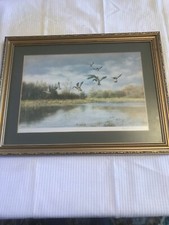 Vintage Campbell Black Print 81/250 Signed Mallard Descending Onto A Pond