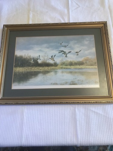 Vintage campbell black print - campbell,
