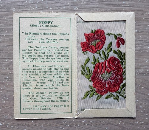 Kensitas wix flowers - a,