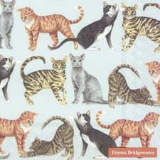 4 x Single Paper Napkins/3 Ply/33cm/Decoupage/Animals/Assorted Cats