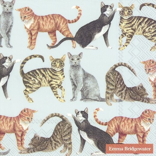 Single paper napkins - 4, x