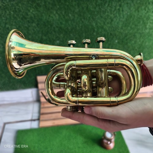 Golden finish instrument - golden,