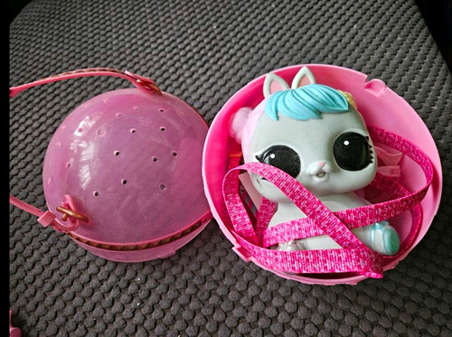 Lol surprise pet and - lol,
