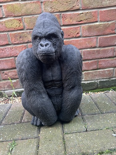 Silverback gorilla solid - silverback, gorilla,