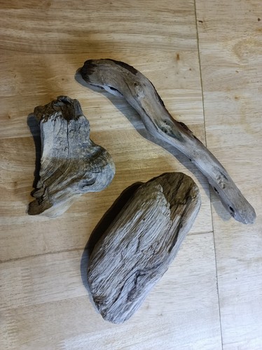 Driftwood pieces ideal - 3x,