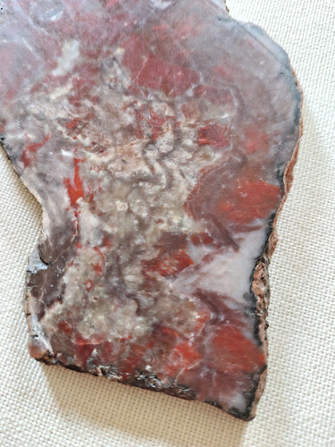 Dulcote agate slice - dulcote,