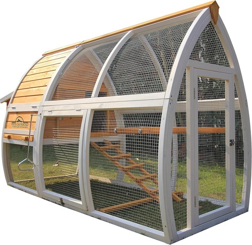 Large dorchester ark - 🐔,
