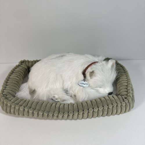 Perfect petzzz westie dog - perfect,
