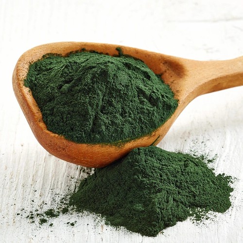 Spirulina powder pure high - pure,