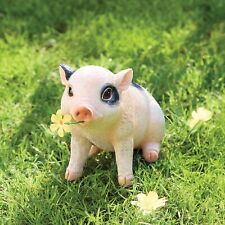 Squiggles the Baby Pig - Adorable Garden & Home Ornament - Cute Seated Piglet