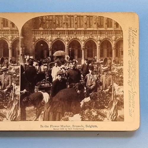 Stereoview card real - 3d,