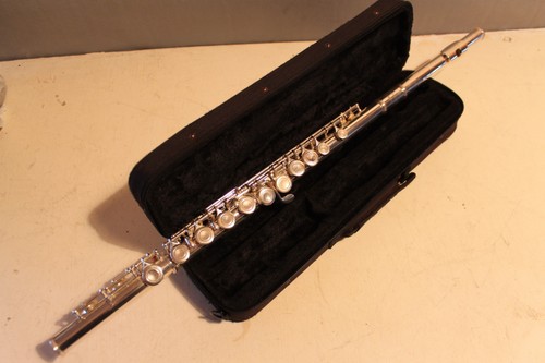 Virtuoso flute carry - in, case