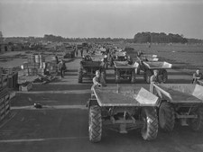 Dump trucks & rubble shifters