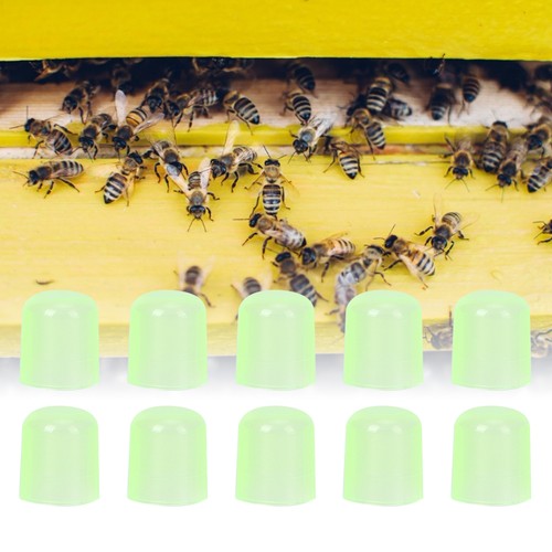 1000pcs queen cell cups - 1000pcs,
