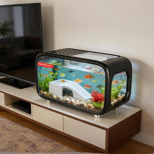 Compact betta fish tank - fish, kit