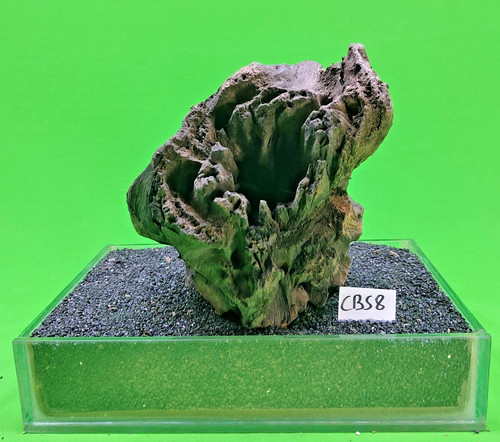 Corbo root cbs8 - corbo,