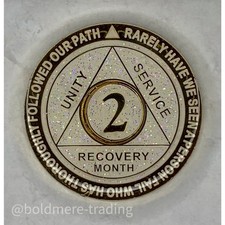 2 Month Alcoholics Anonymous Medallion White Gold Plated AA Sobriety Chip Coin