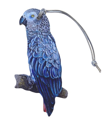 African grey parrot christmas - grey,