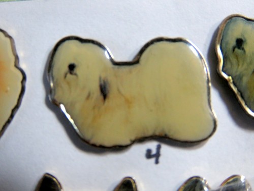 Dog pin maltese or bichon - ,