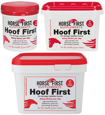 Horse First Hoof First Biotin