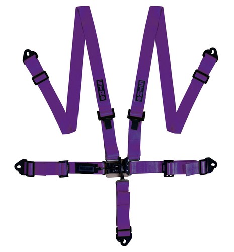 Nascar race harness - 5-point, 2"
