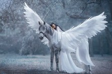 Photo Wall Mura-ANGEL WITH