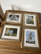 4 x Stephen Gayford Framed Print Picture, Limited Edition Wolf, Snow Leopard