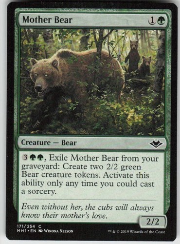 Mother bear 171 common - bear, modern