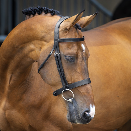 Shires velociti lusso - velociti,
