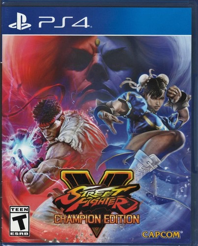Street fighter champion - fighter,