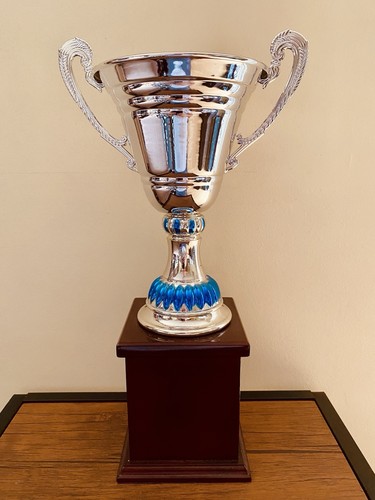 Silver trophy - 🏆,