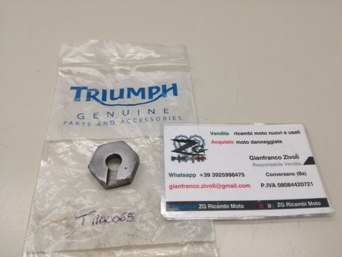 T1100065 genuine triumph - t1100065,
