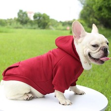 Thick Warm Dog Hoodie Sweater