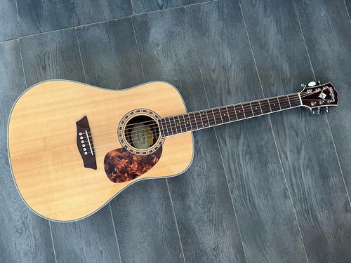 Washburn wd10s - wd10s,,