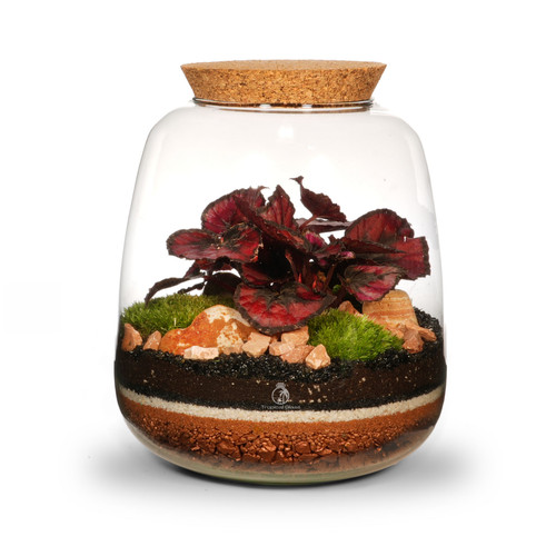 Artisan range diy closed - artisan,