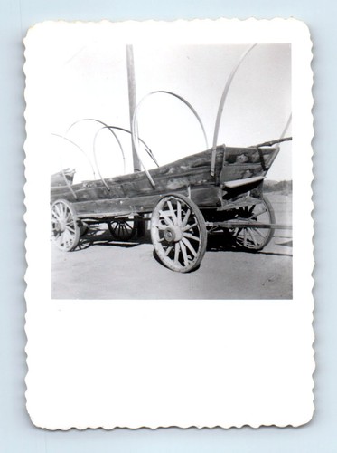 Old vintage photo horse drawn - vintage,