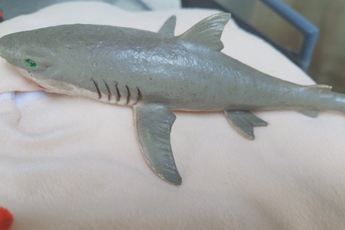 Toy rubber play shark - toy,