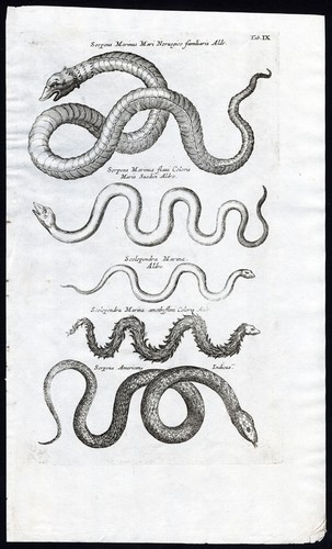 Antique print sea - antique, print-sea