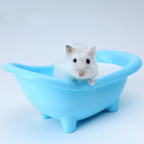 Pet hamster bathing toy little - hamster,