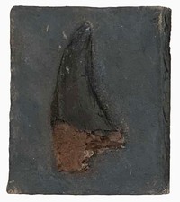 Tyrannosaurus rex dinosaur - tyrannosaurus,