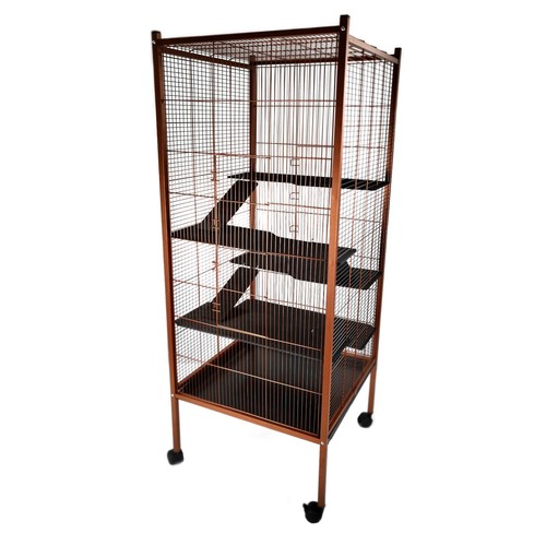 Rat chinchilla ferret pet - rat, cage