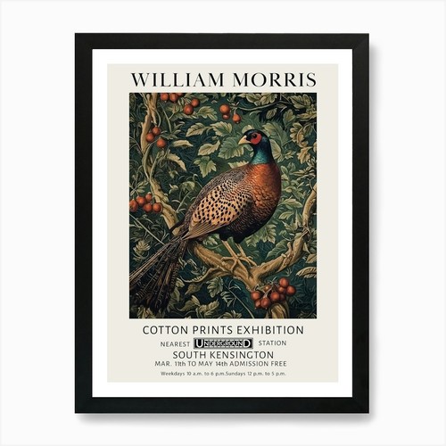 William morris pheasant bird - morris,