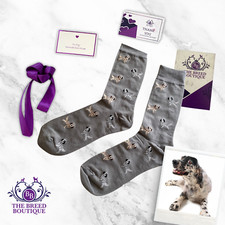ENGLISH SETTER DOG PRINT SOCKS