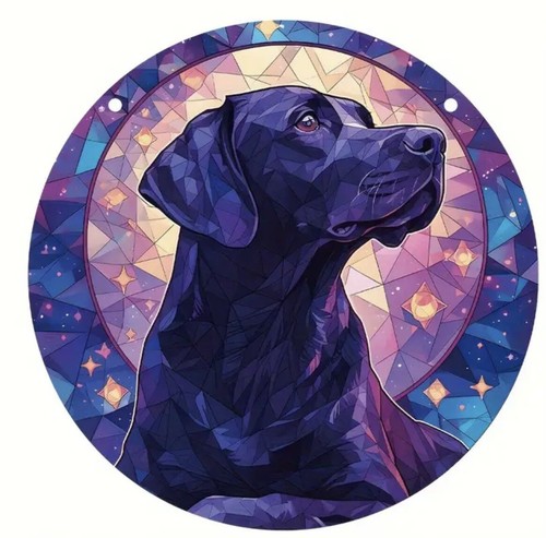 Labrador black dog stars - labrador,