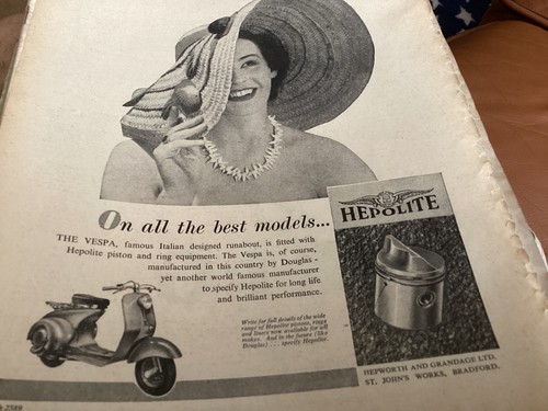 Vespa douglas hepolite - ,