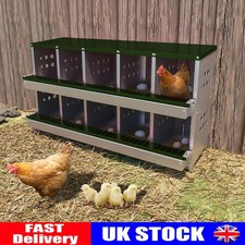 10 Compartment Chicken Nesting