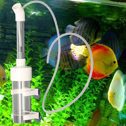Fish eggs hatchery - fish, ovum